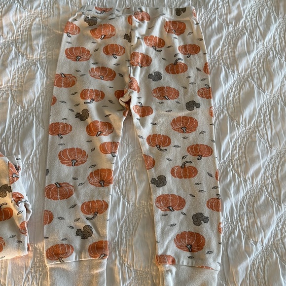 Carter’s Organic Pumpkin Pajamas in 2T - Picture 5 of 5